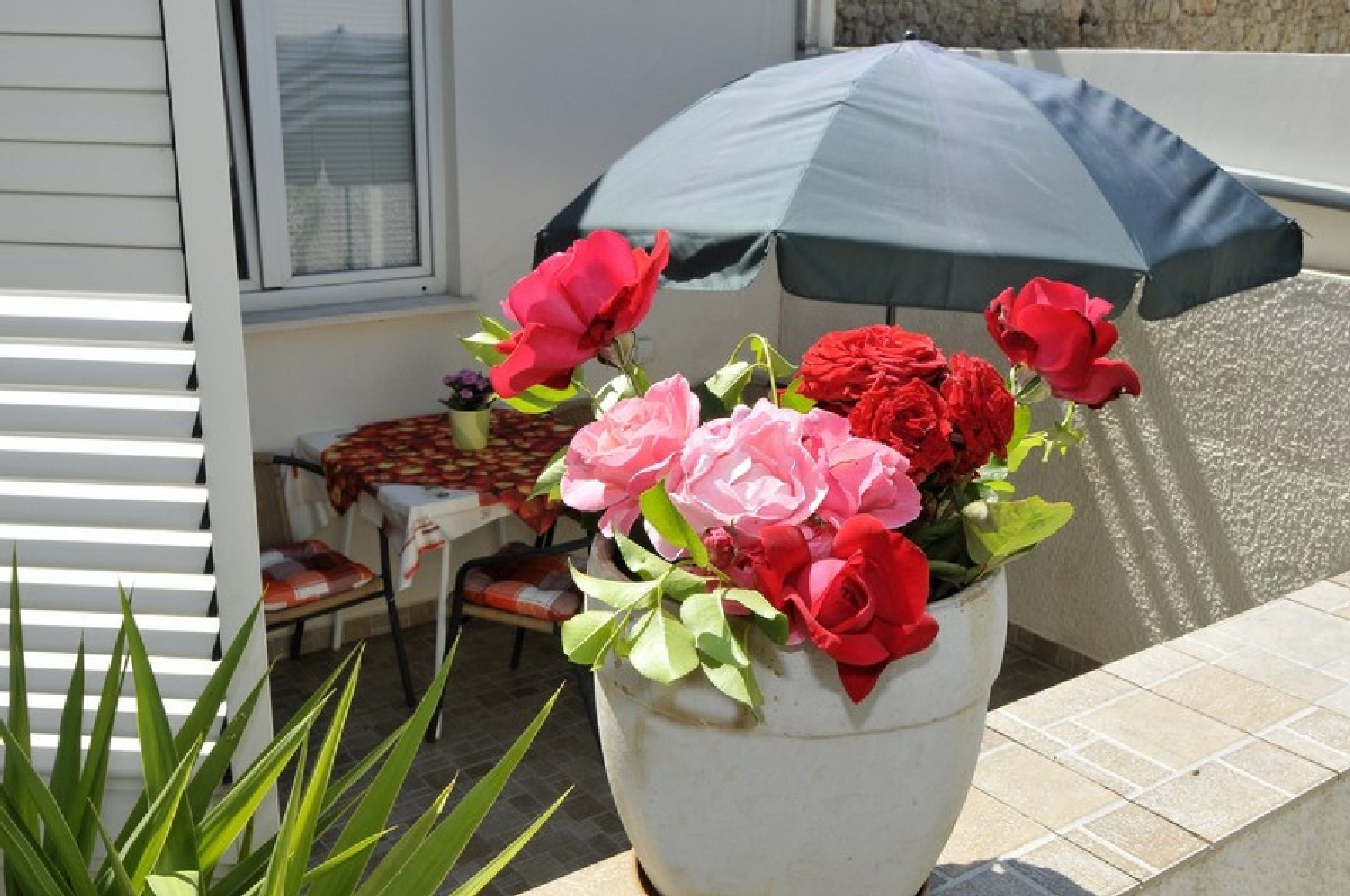 Villa Katarina