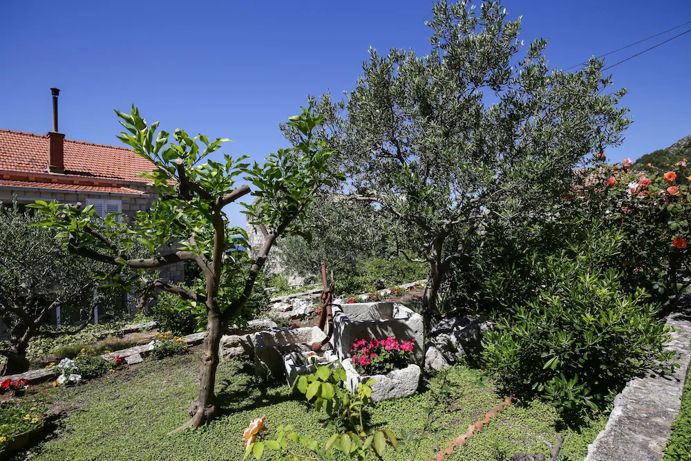 Villa Meskal