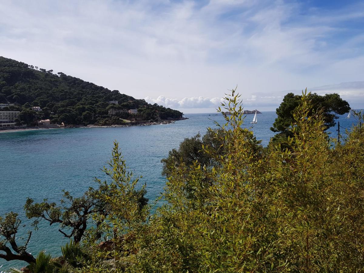 Villa Wolff Boutique & Beach