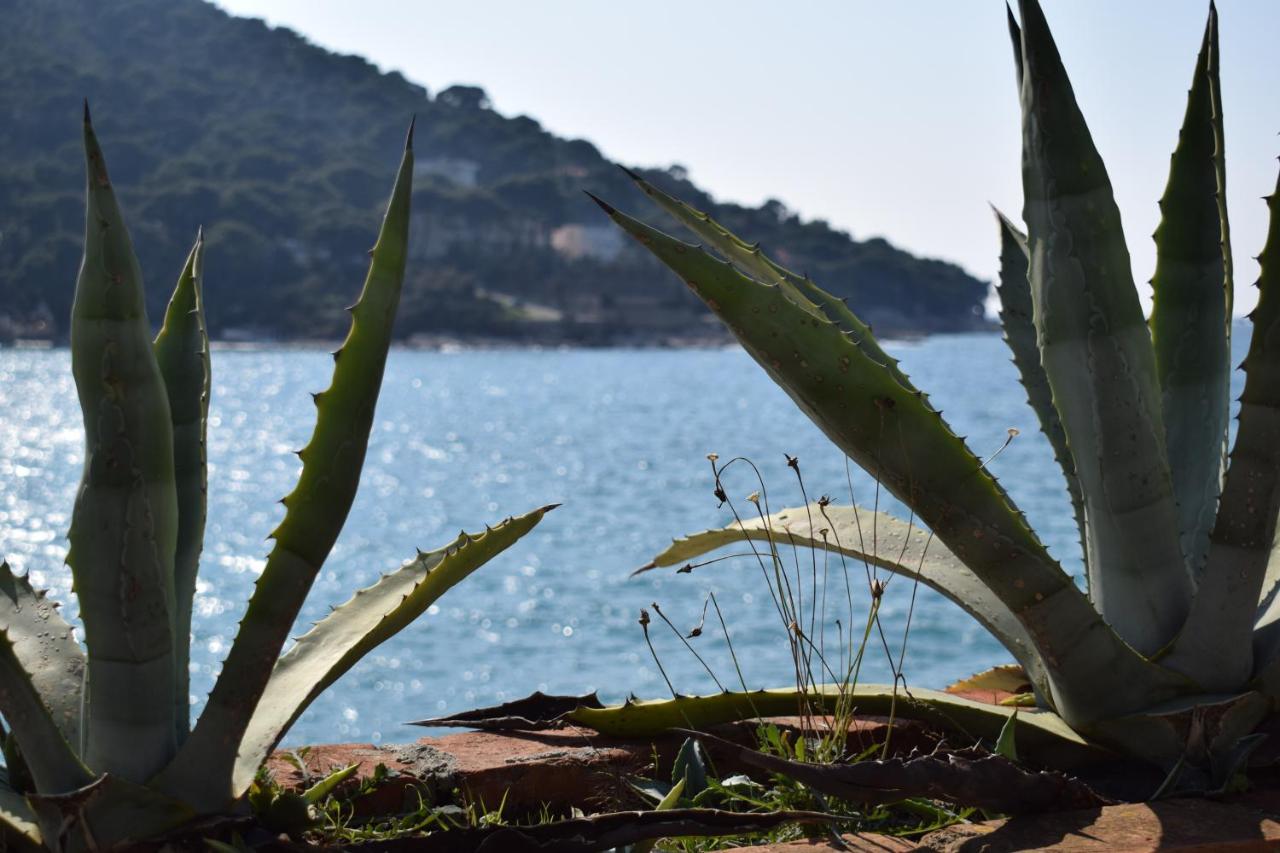 Villa Wolff Boutique & Beach