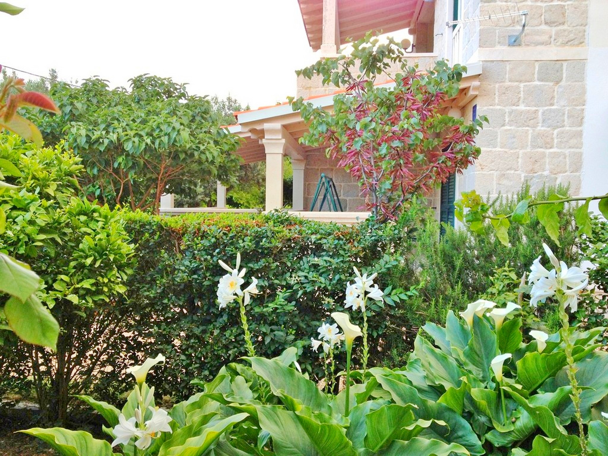 Apartments Iskra