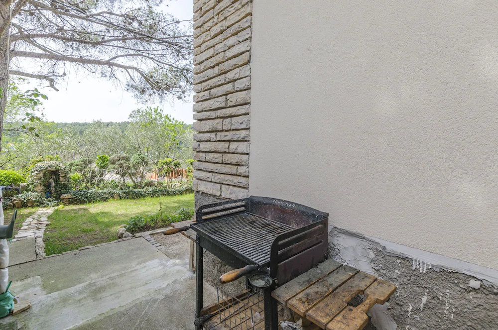 Apartments Davor