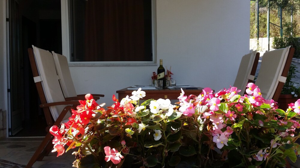 Apartments Jurica