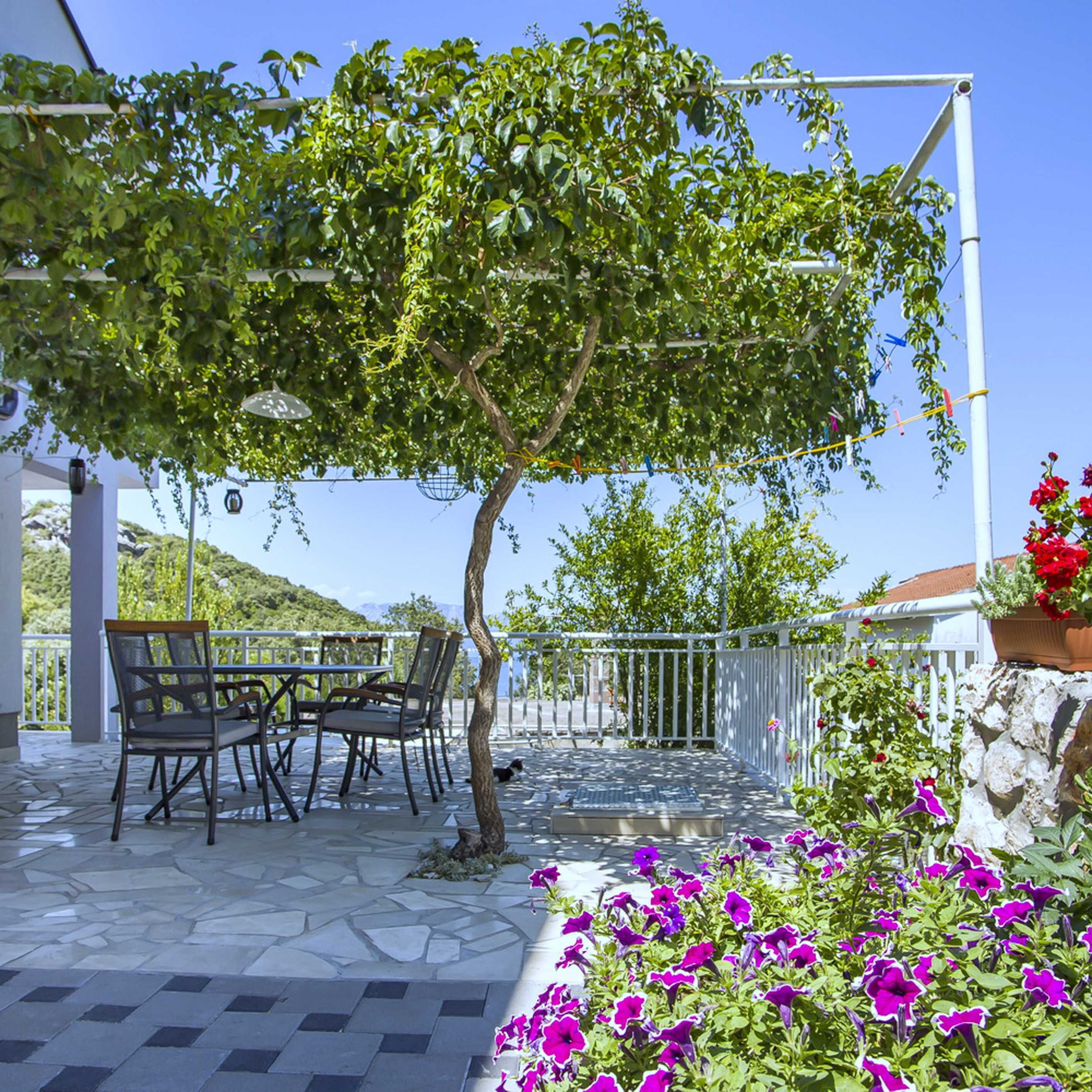 Apartments Vesela