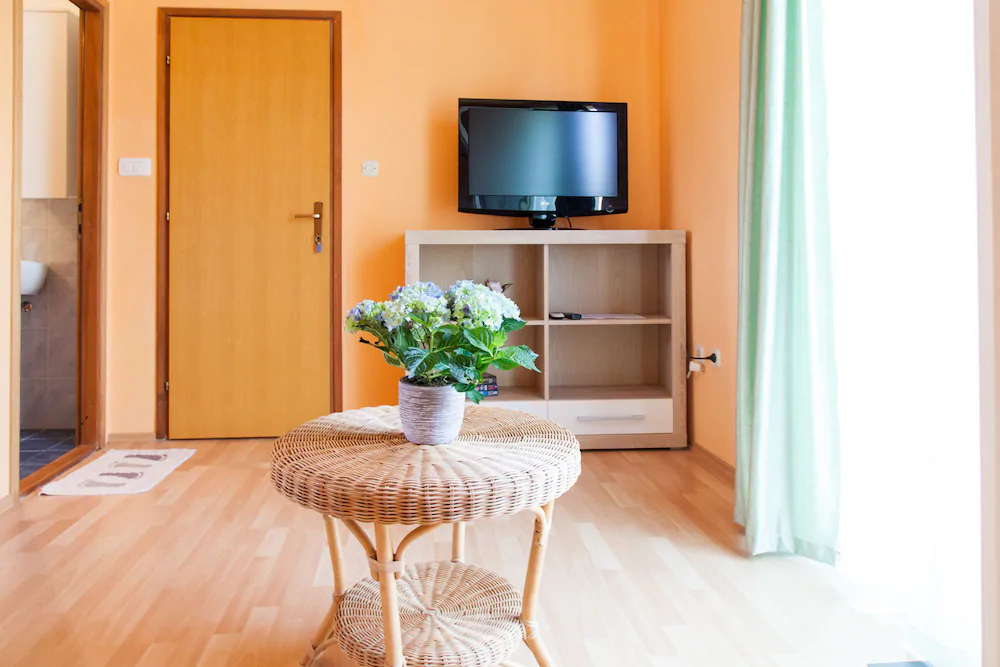 Apartments Danja