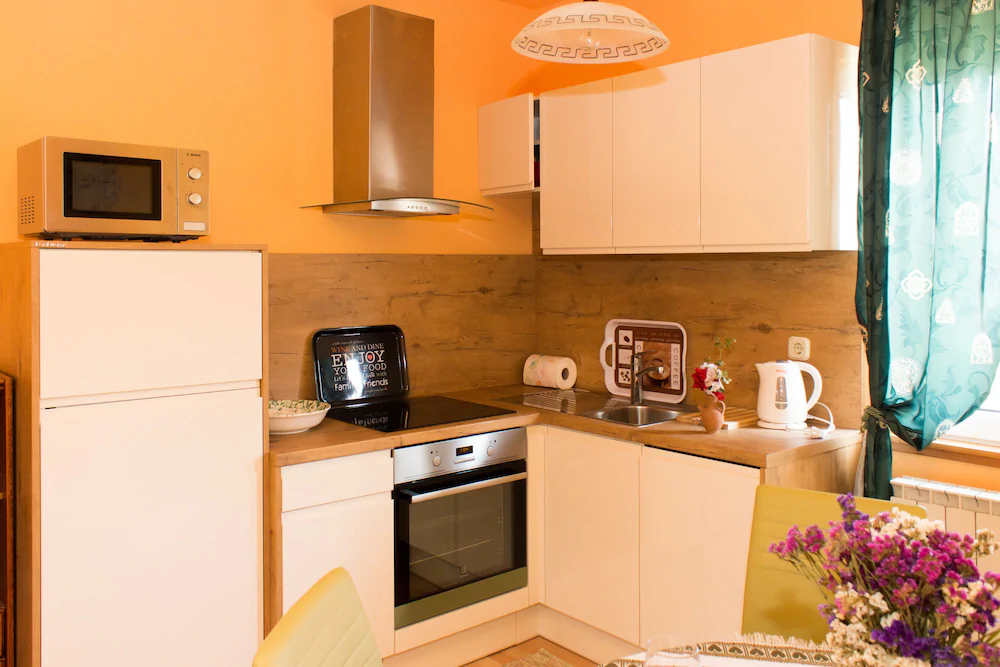 Apartments Danja