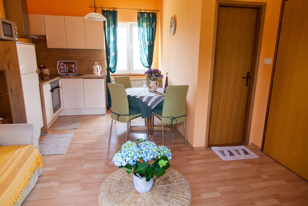Apartments Danja