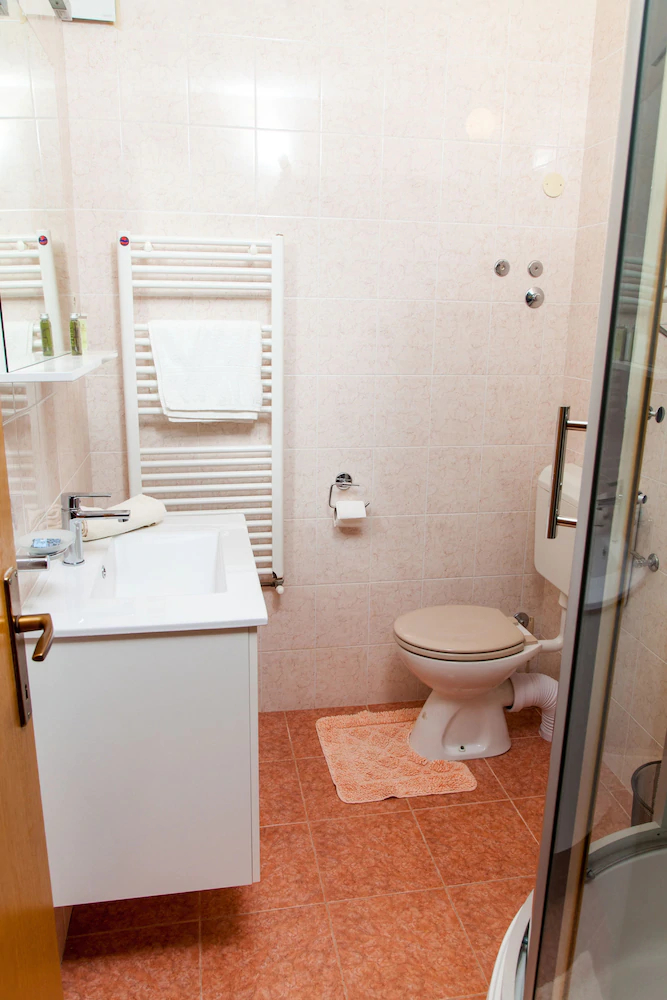 Apartments Danja