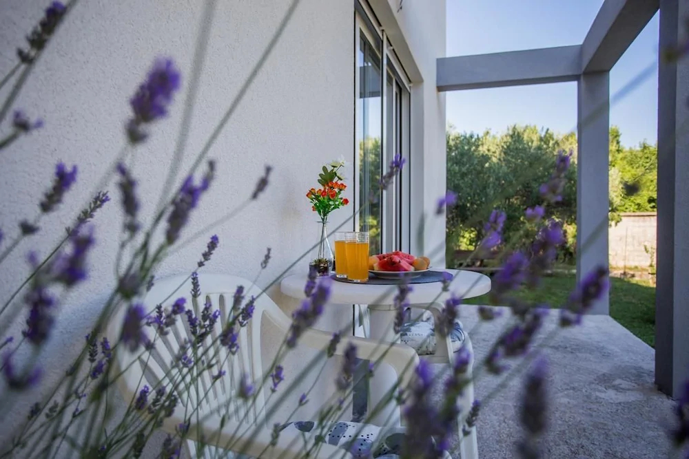 Apartments Enelani