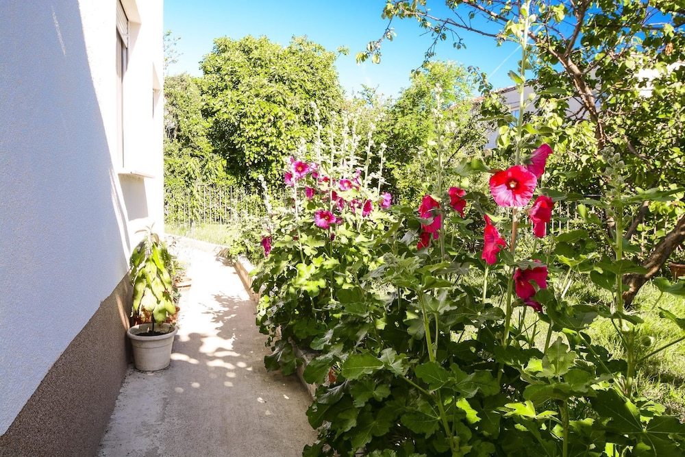 Apartments Konta