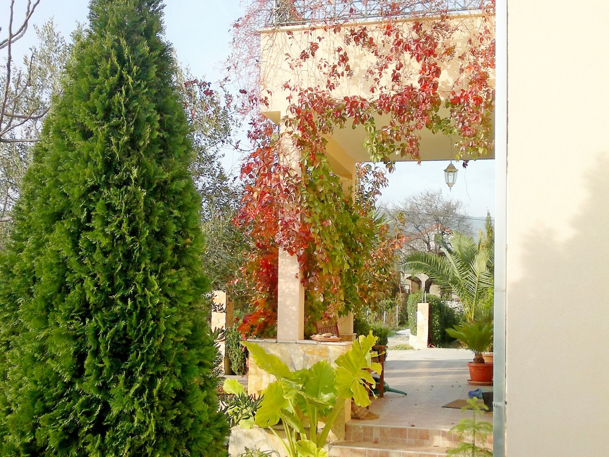 Apartments Drazen