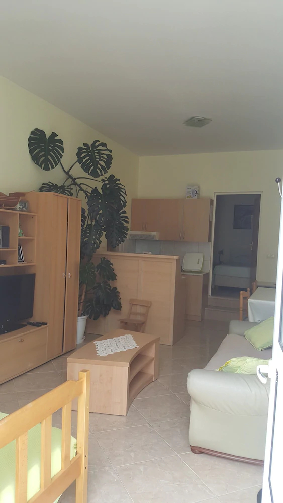 Apartments Lokva