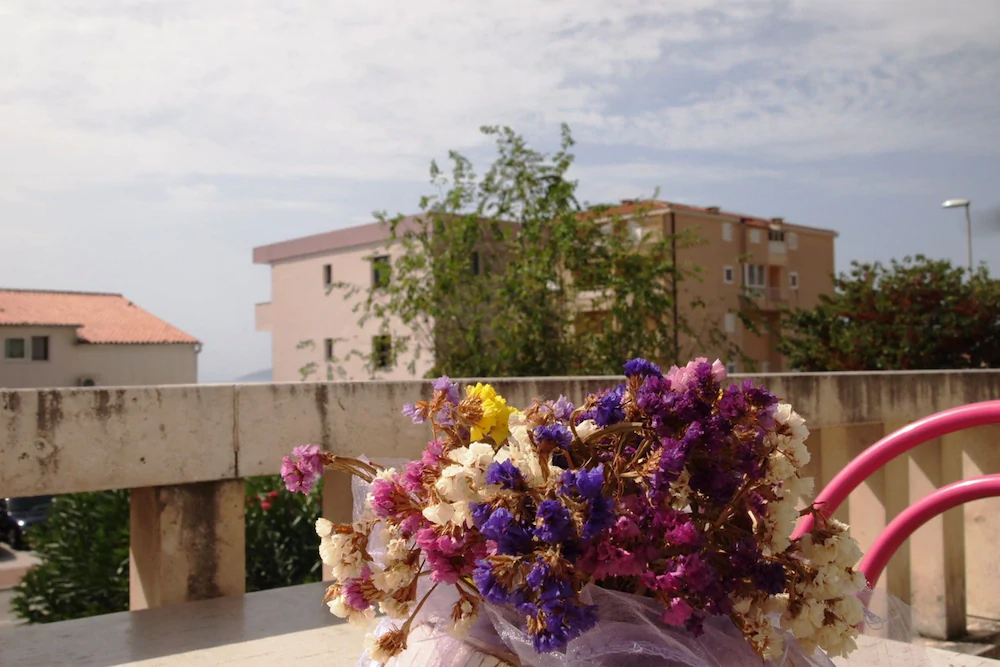 Apartments Dany