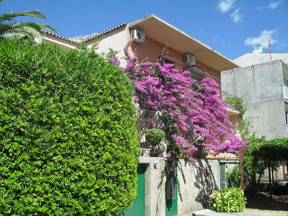 Apartments Katica