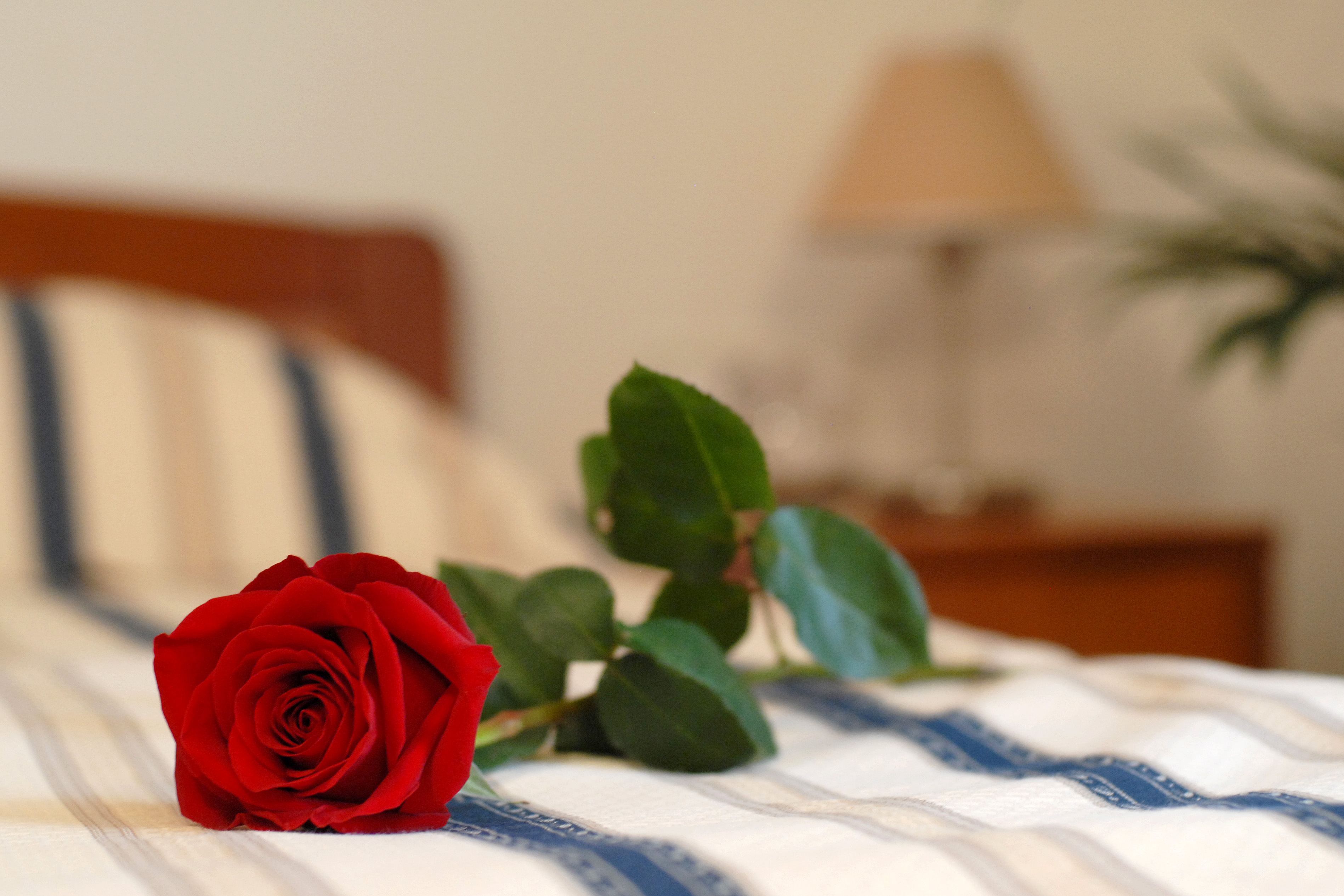 Hotel Rosina