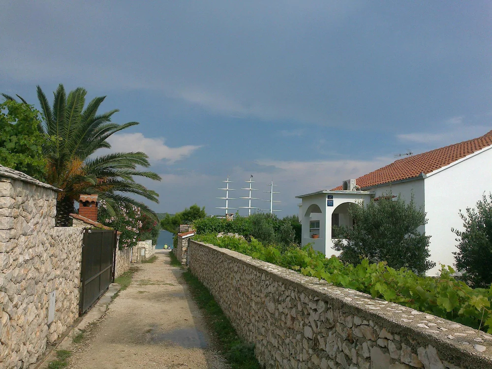 House Miro