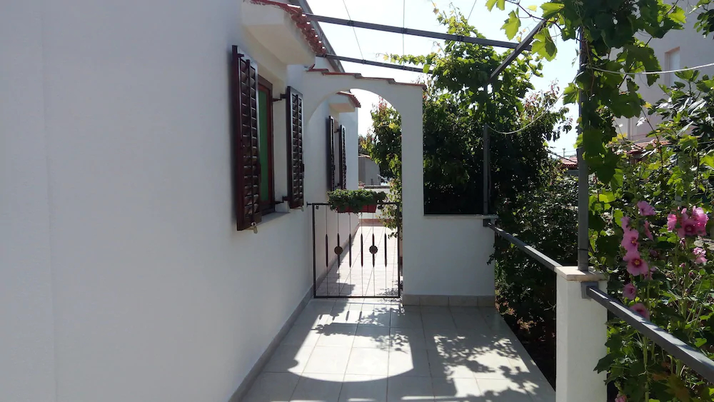 House Miro