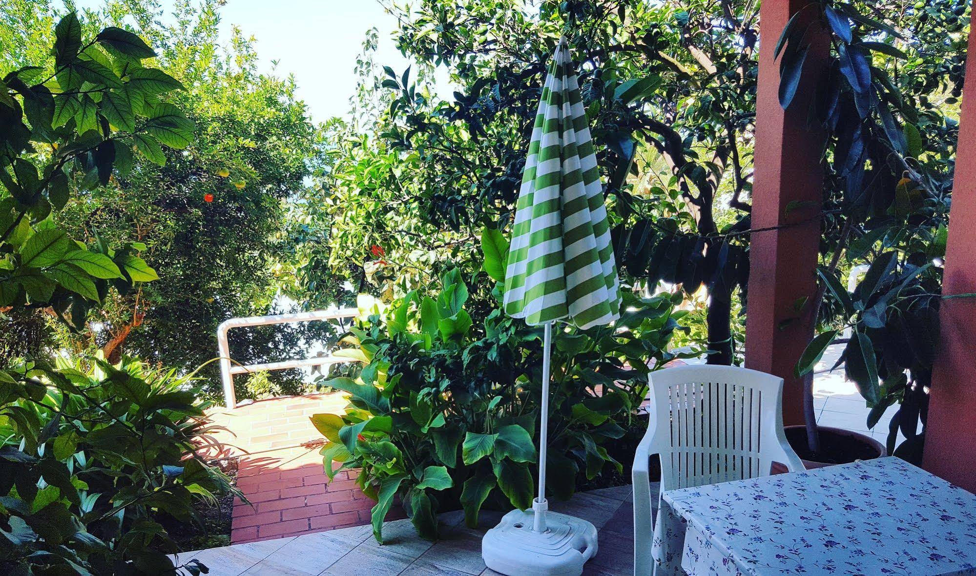 Apartmani Ana