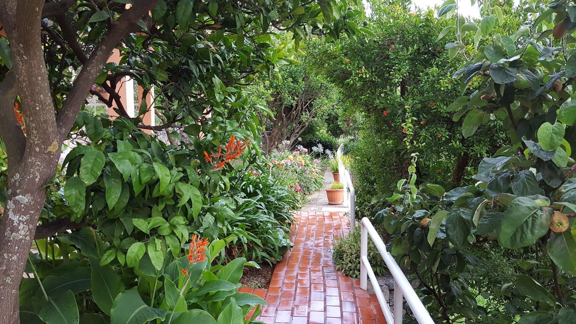 Apartmani Ana