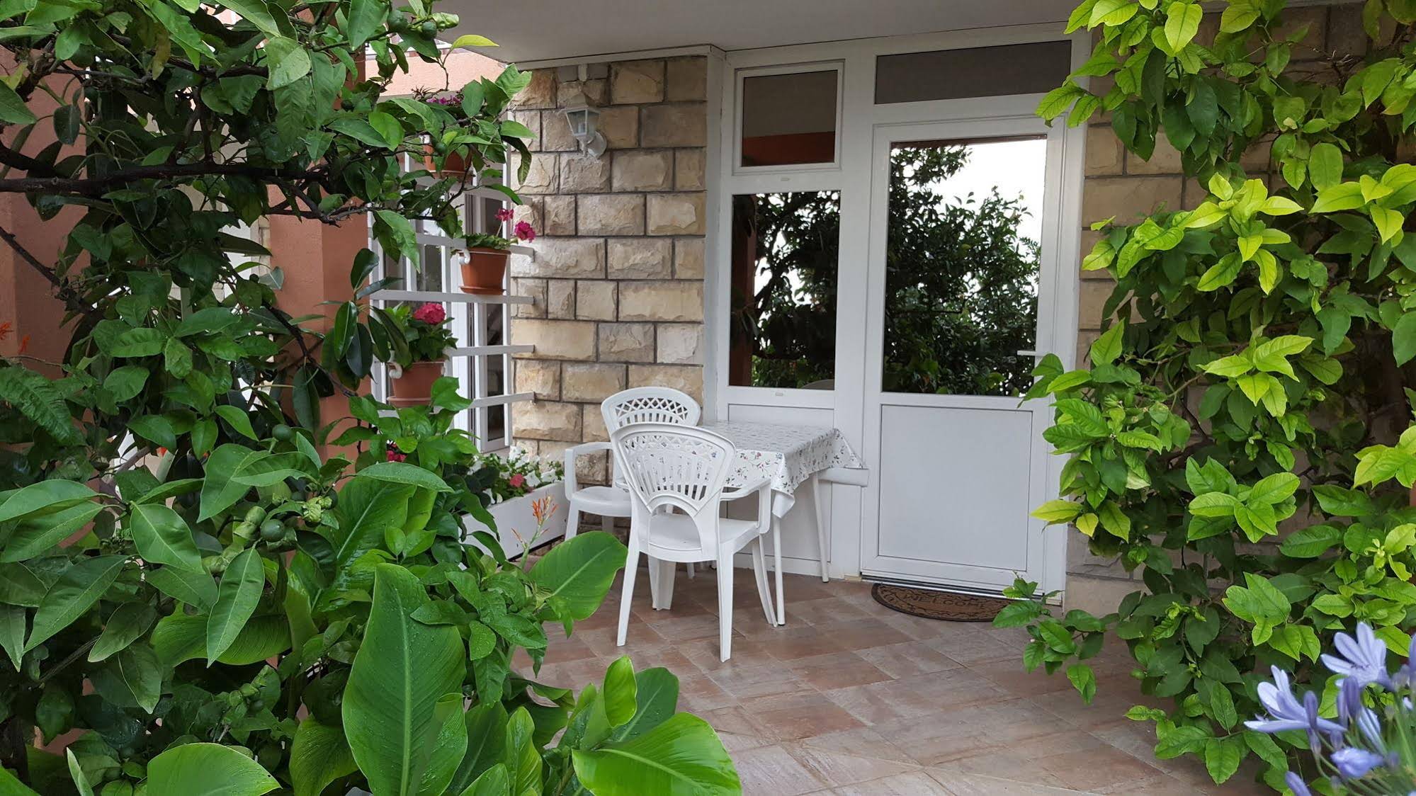 Apartmani Ana