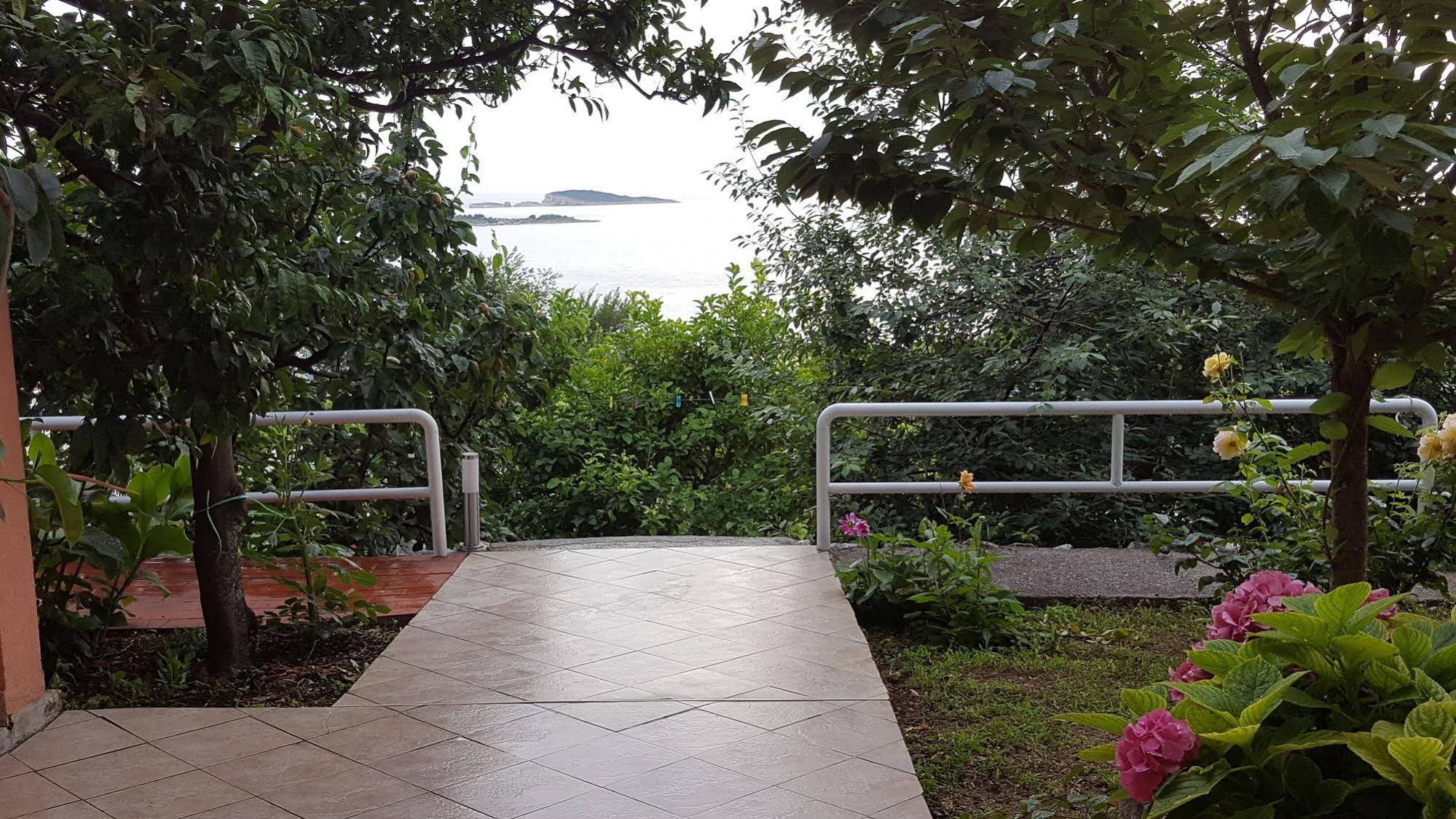 Apartmani Ana