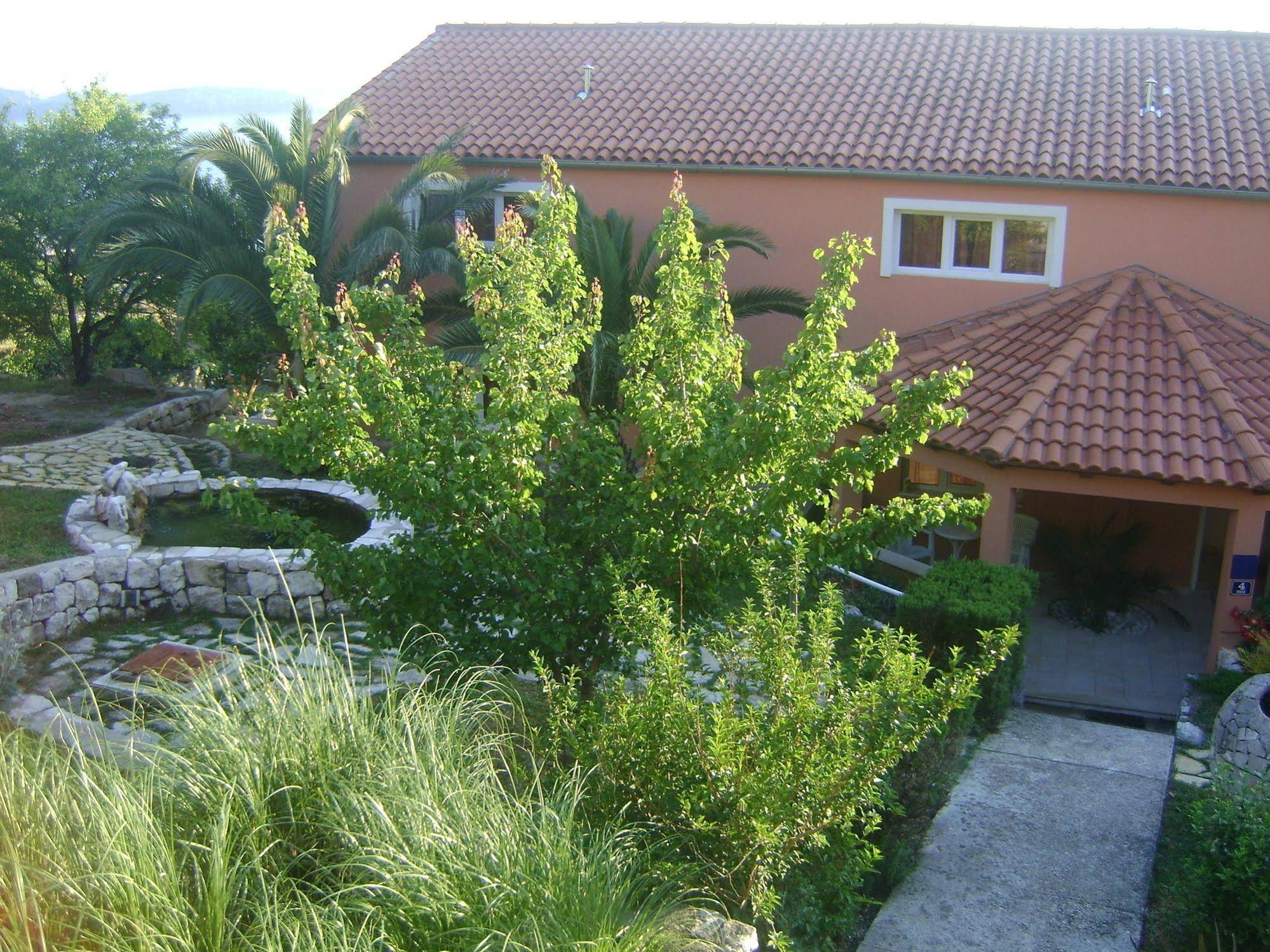 Apartmani Ana