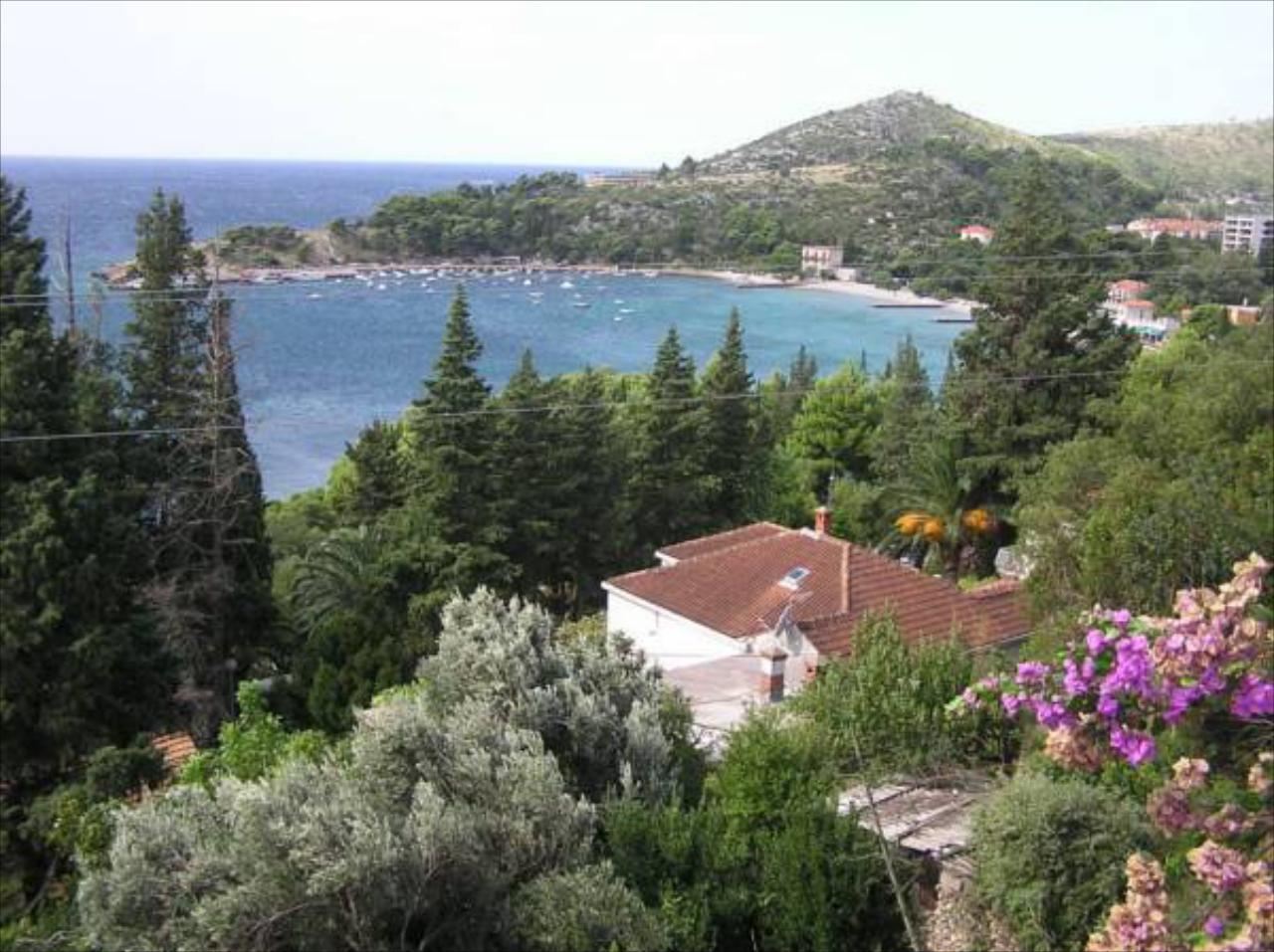 Apartments Katica