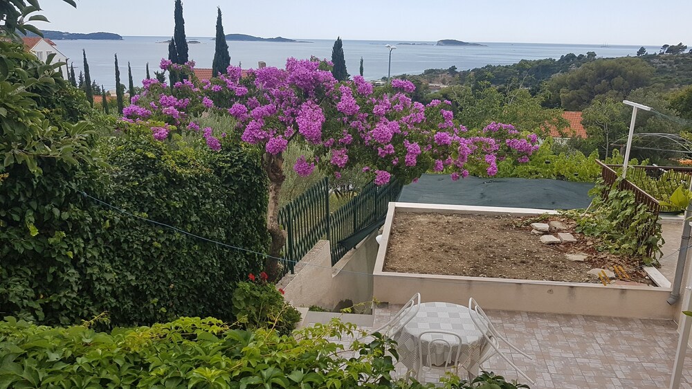 Apartments Kust