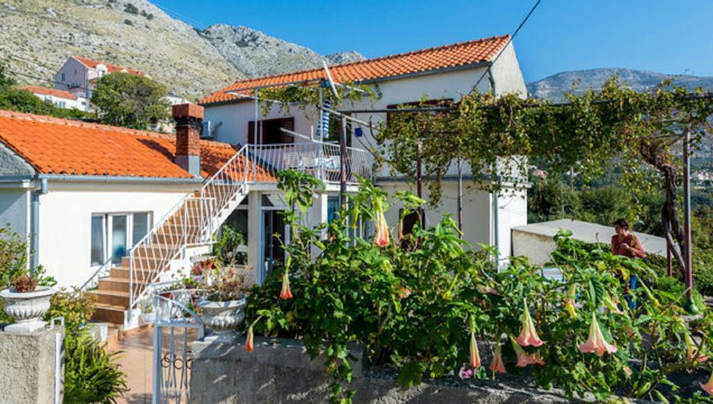 Guest House Fontana