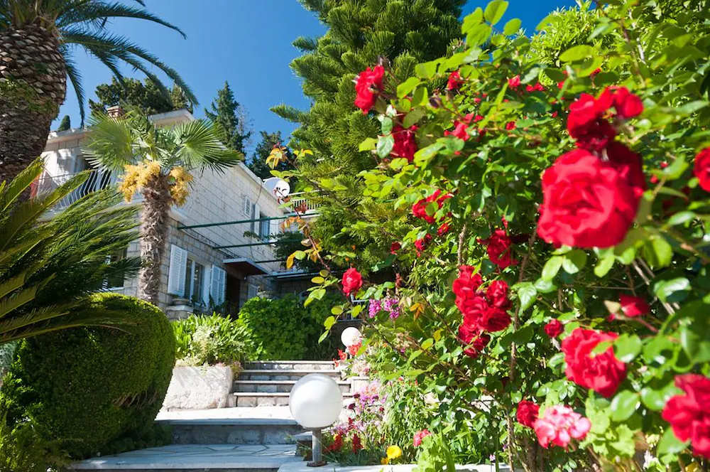 Villa Nina