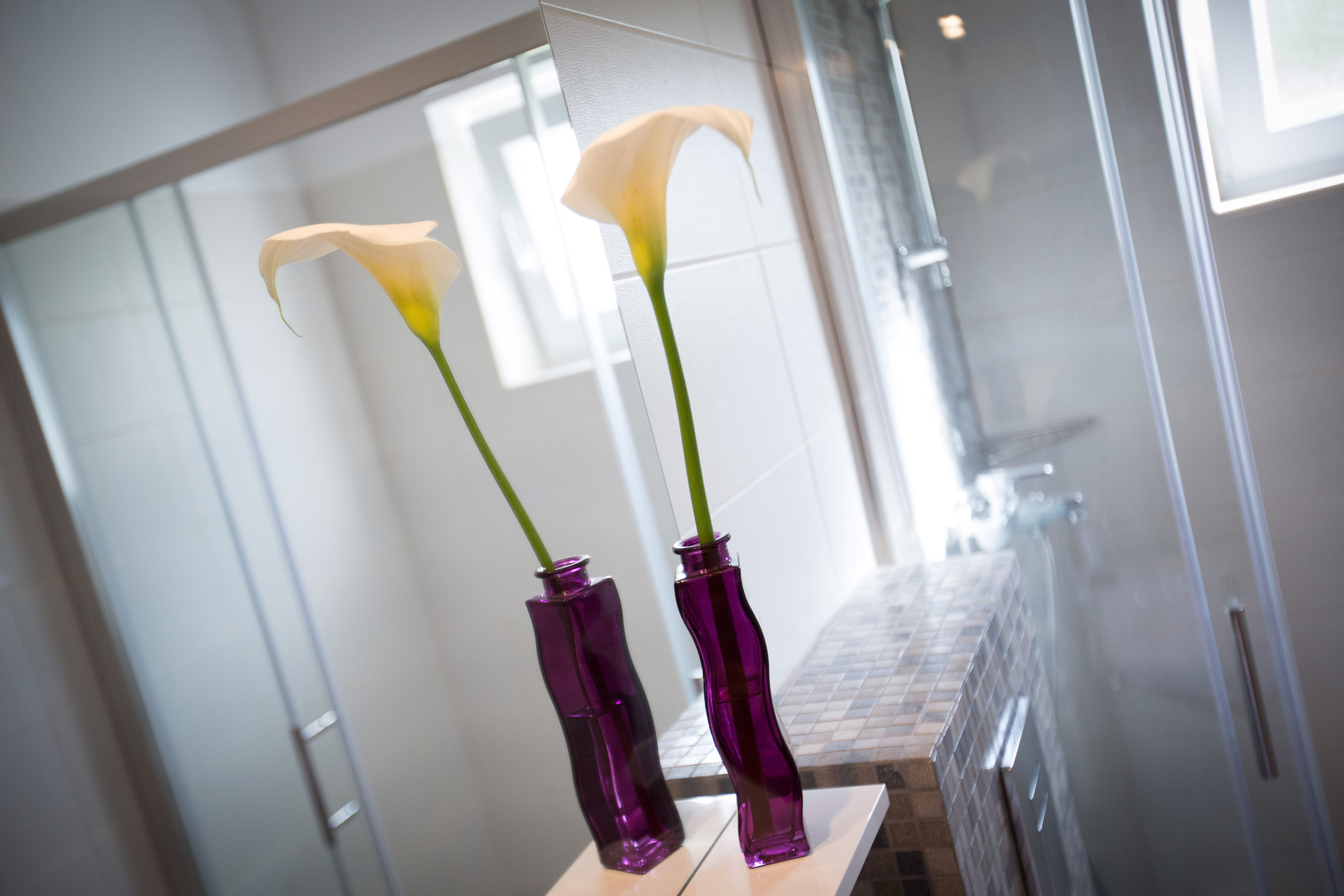 Apartments Villa Roza