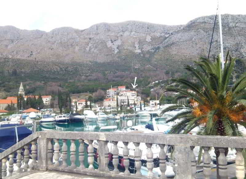 Guesthouse Zeko Rozat