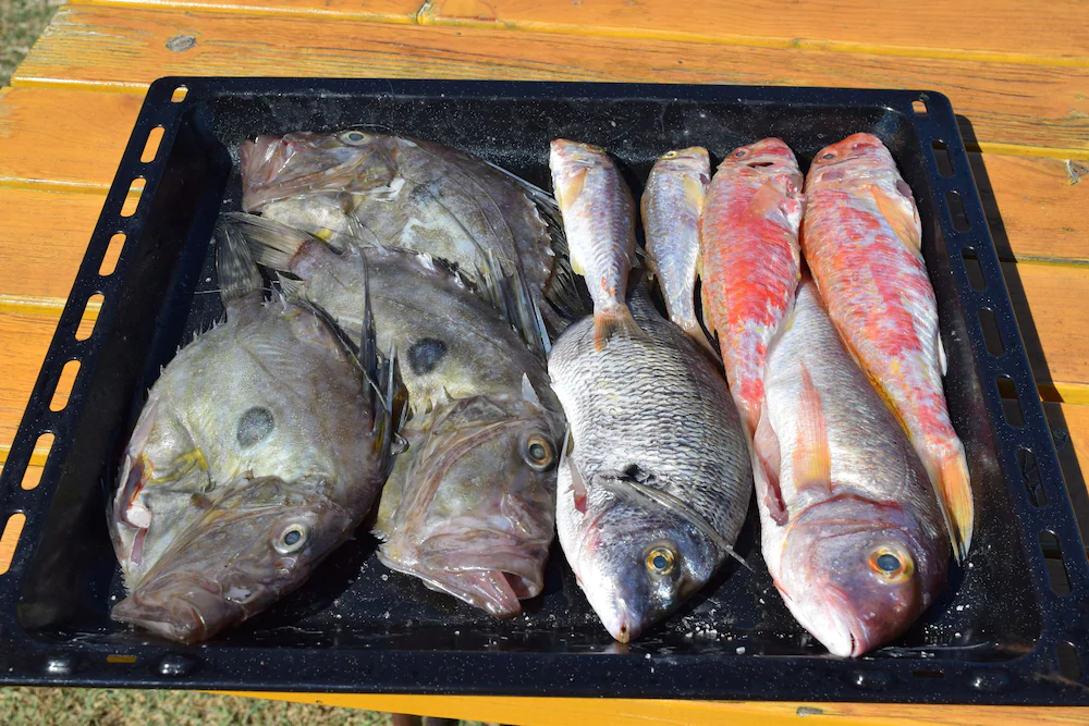 Apartments Valentina-B