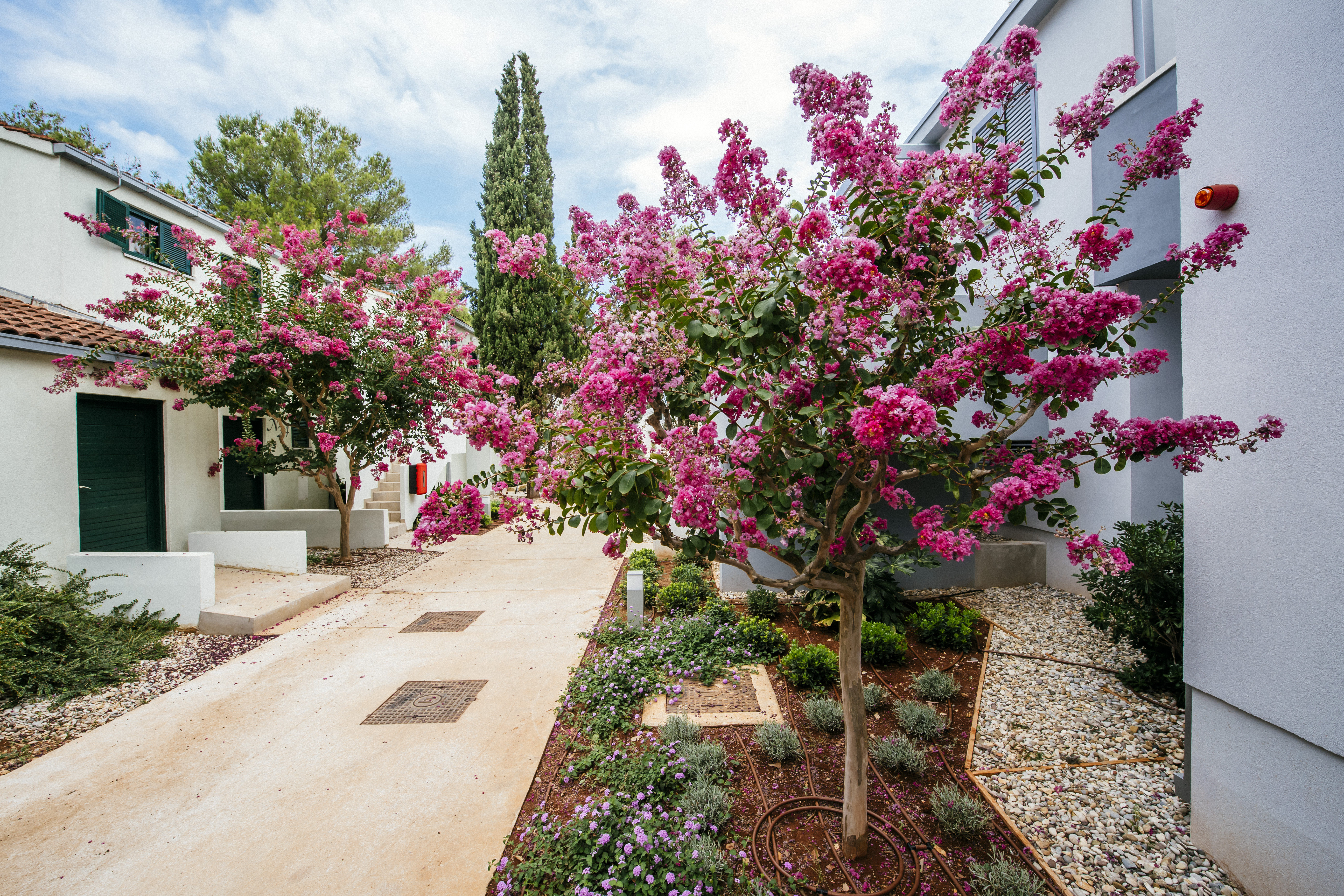Zaton Holiday Resort 4 Star Apartments