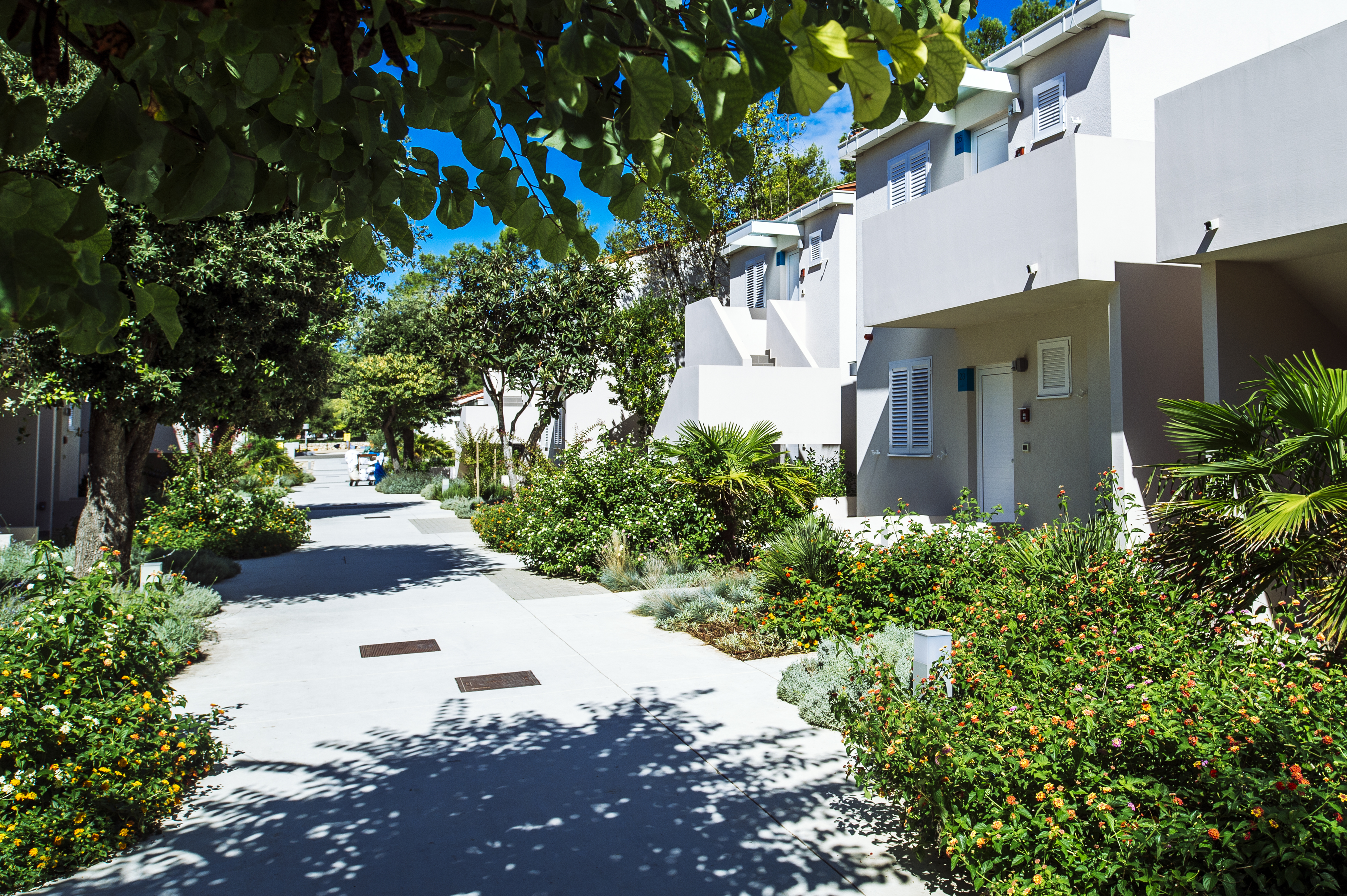 Zaton Holiday Resort 4 Star Apartments