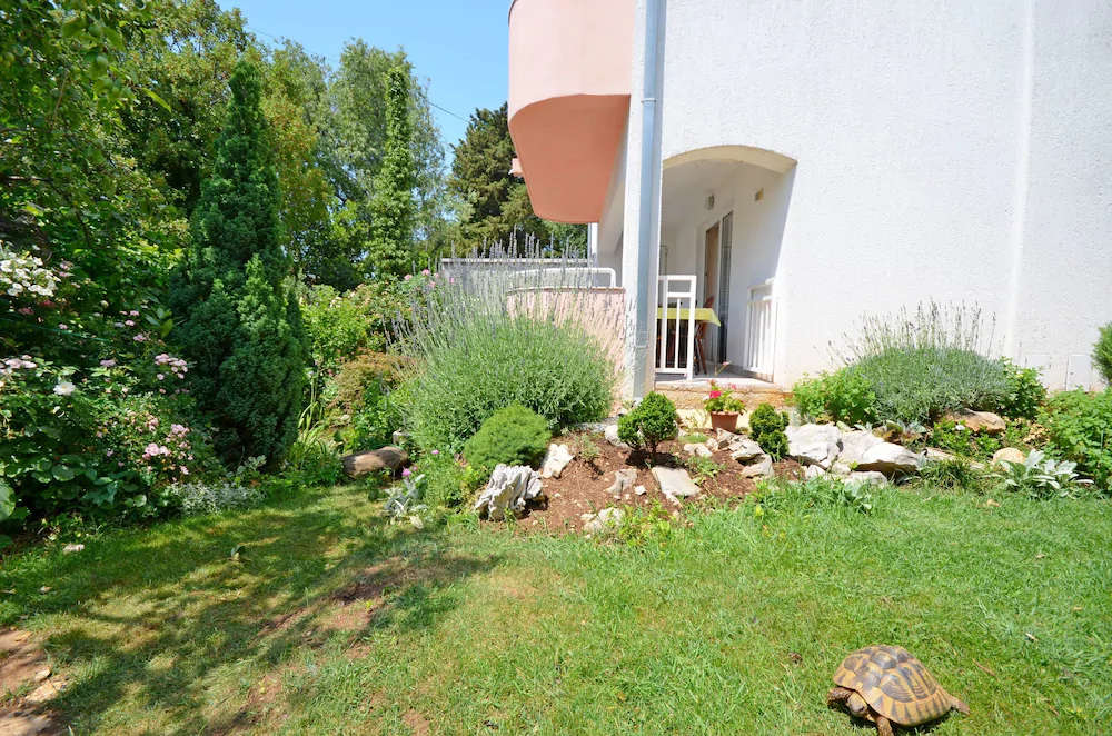 Apartments Snjezana
