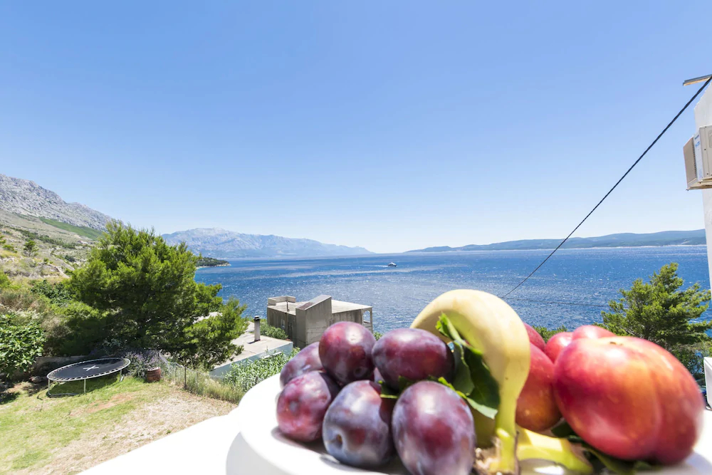 Apartments A Cappella Music Dalmatia
