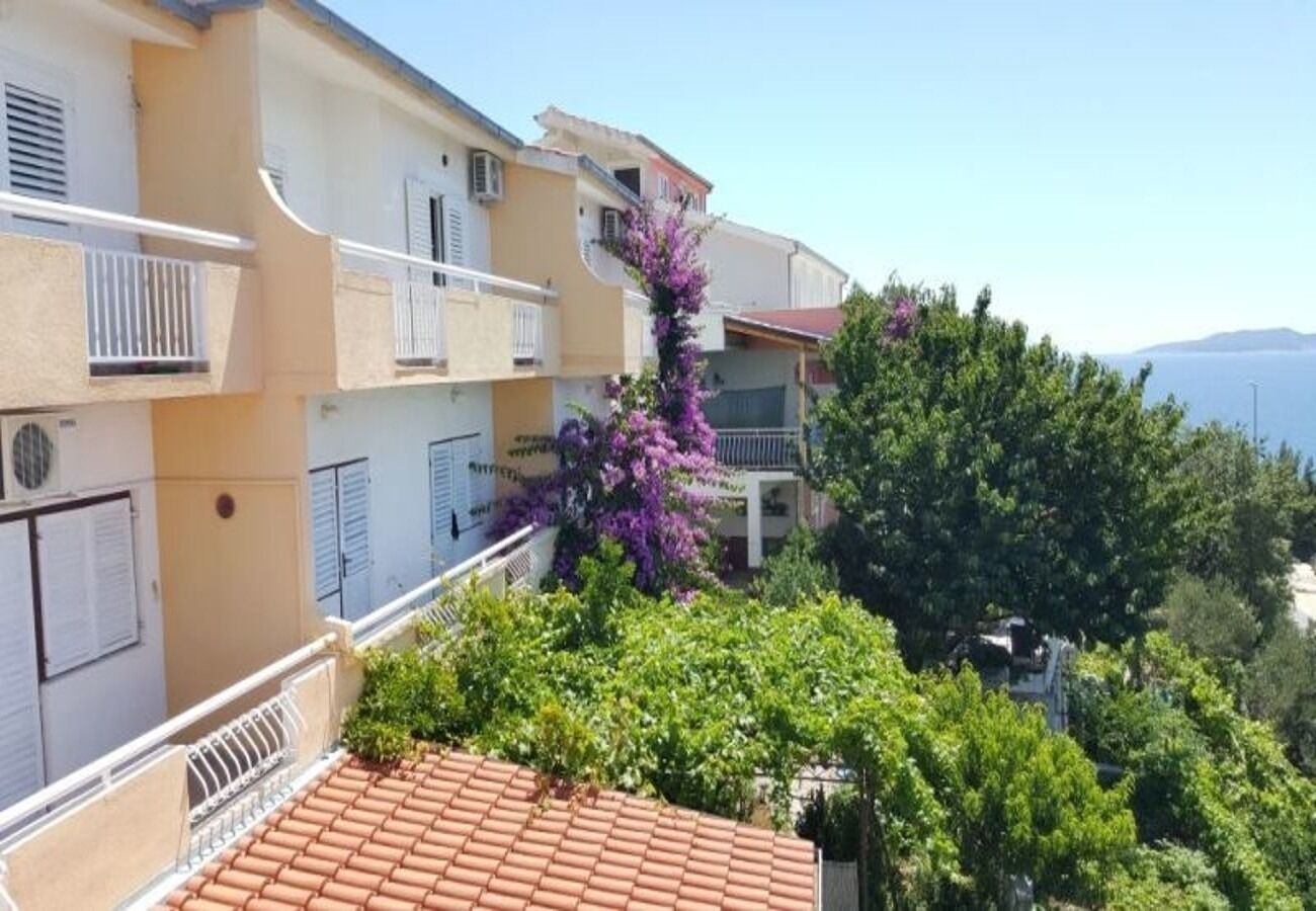 Apartments Drago Kovacic