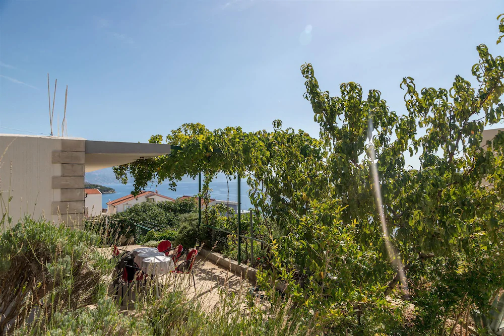 Apartments Petar