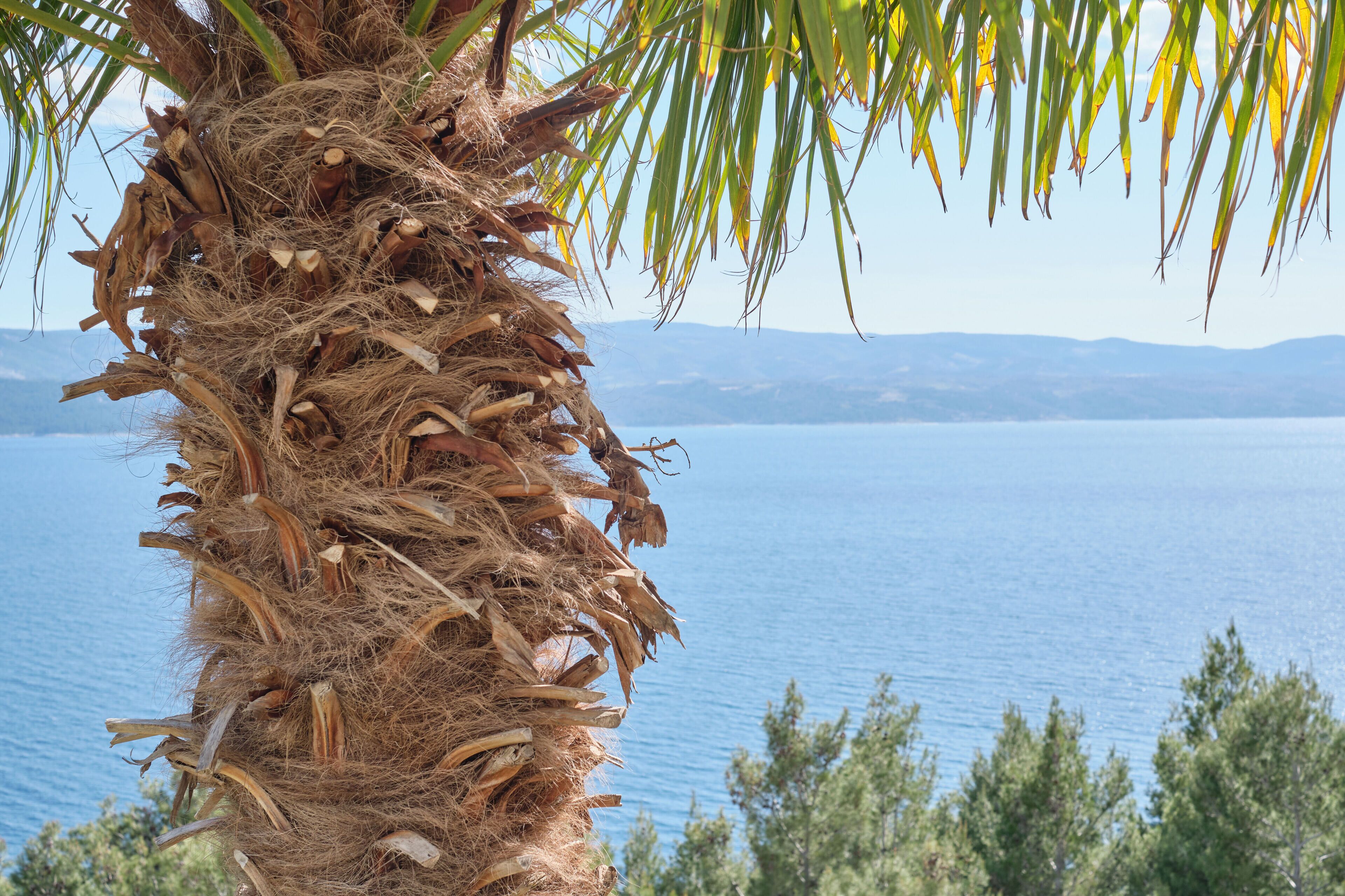 Bella Vista Dalmatien