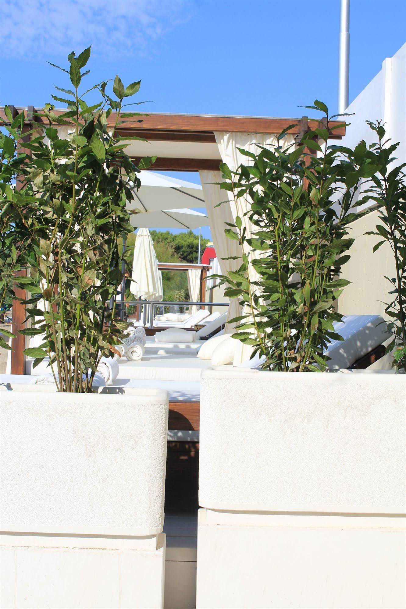 Hotel Damianii