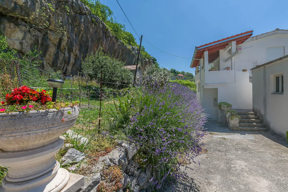 House Ante