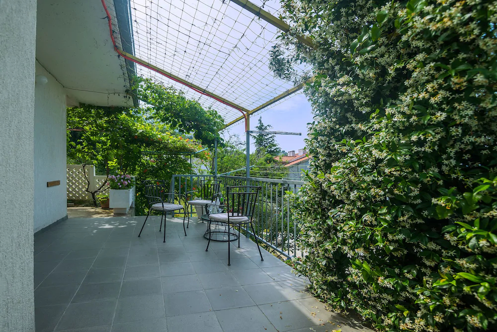 House Palma