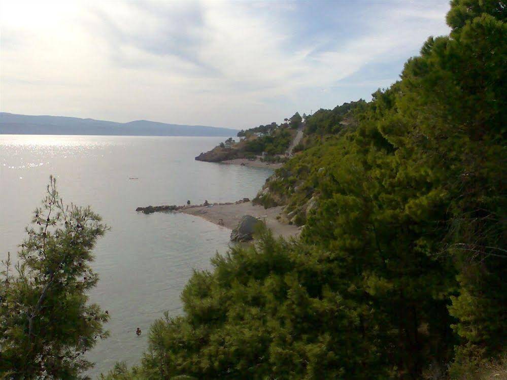 Villa Sanja