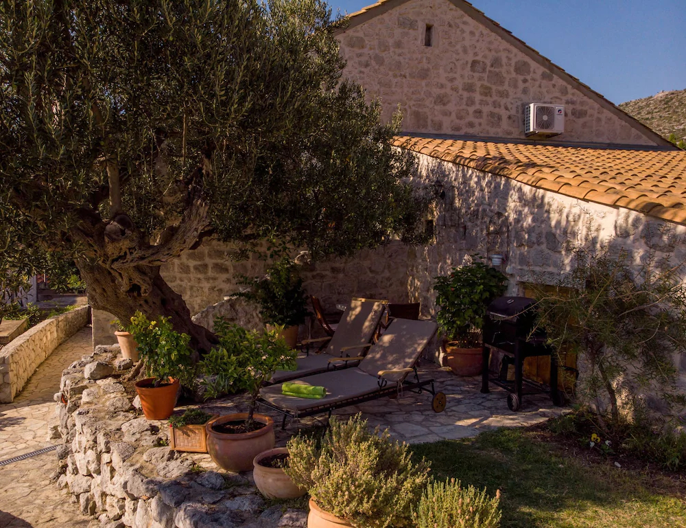 Olive Tree Cottage