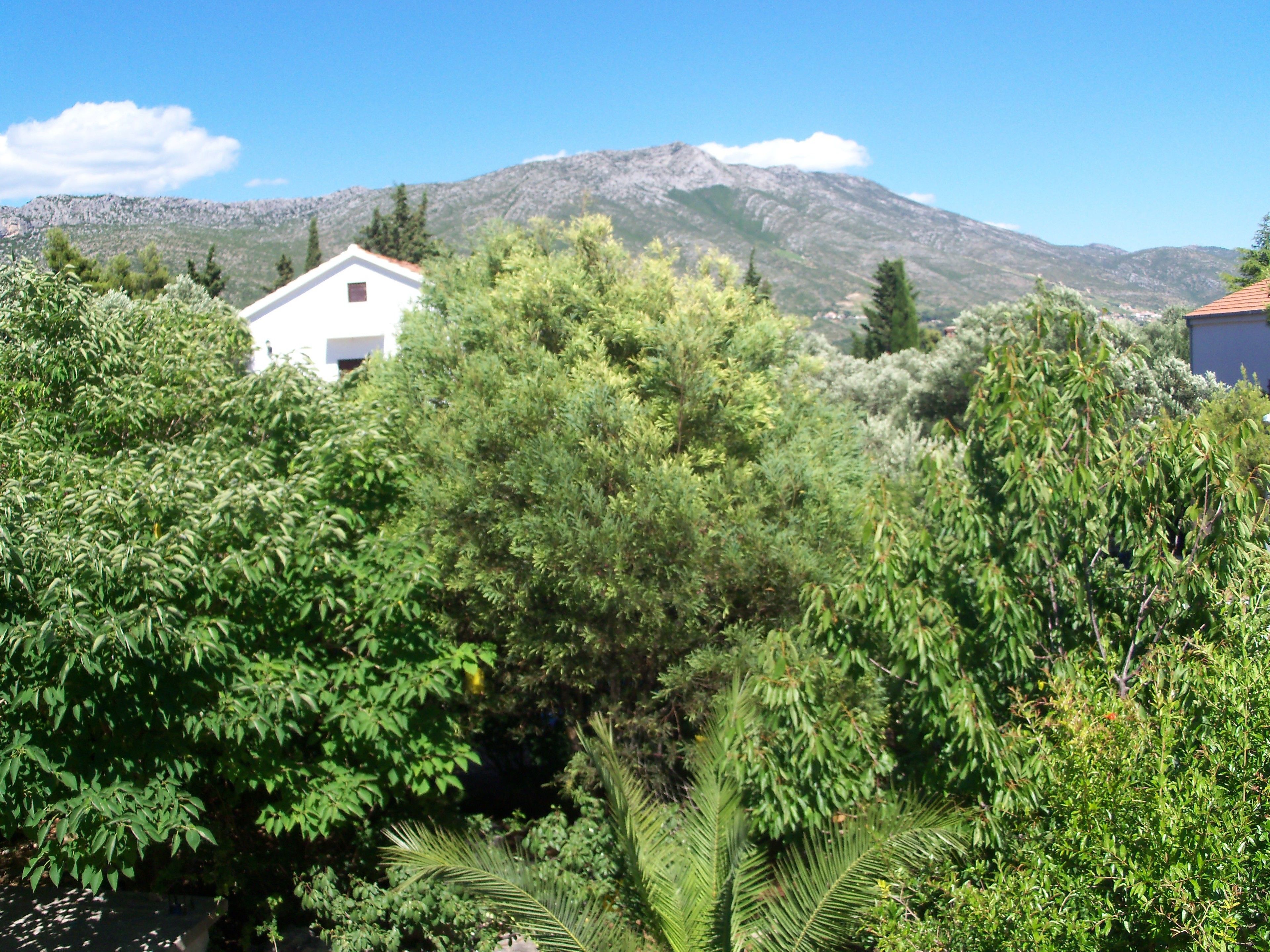 Apartments Lastavica