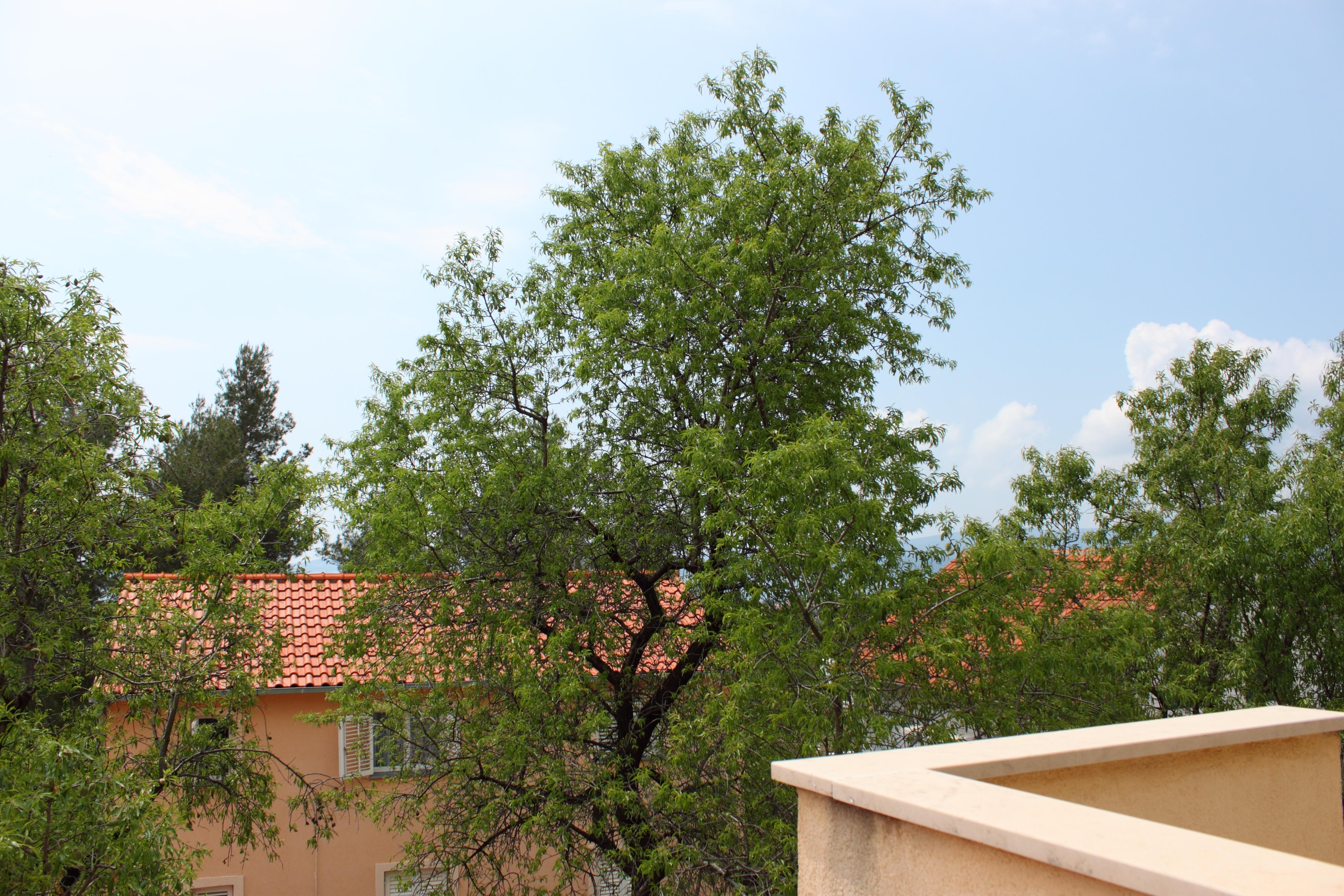 Villa Meridiana