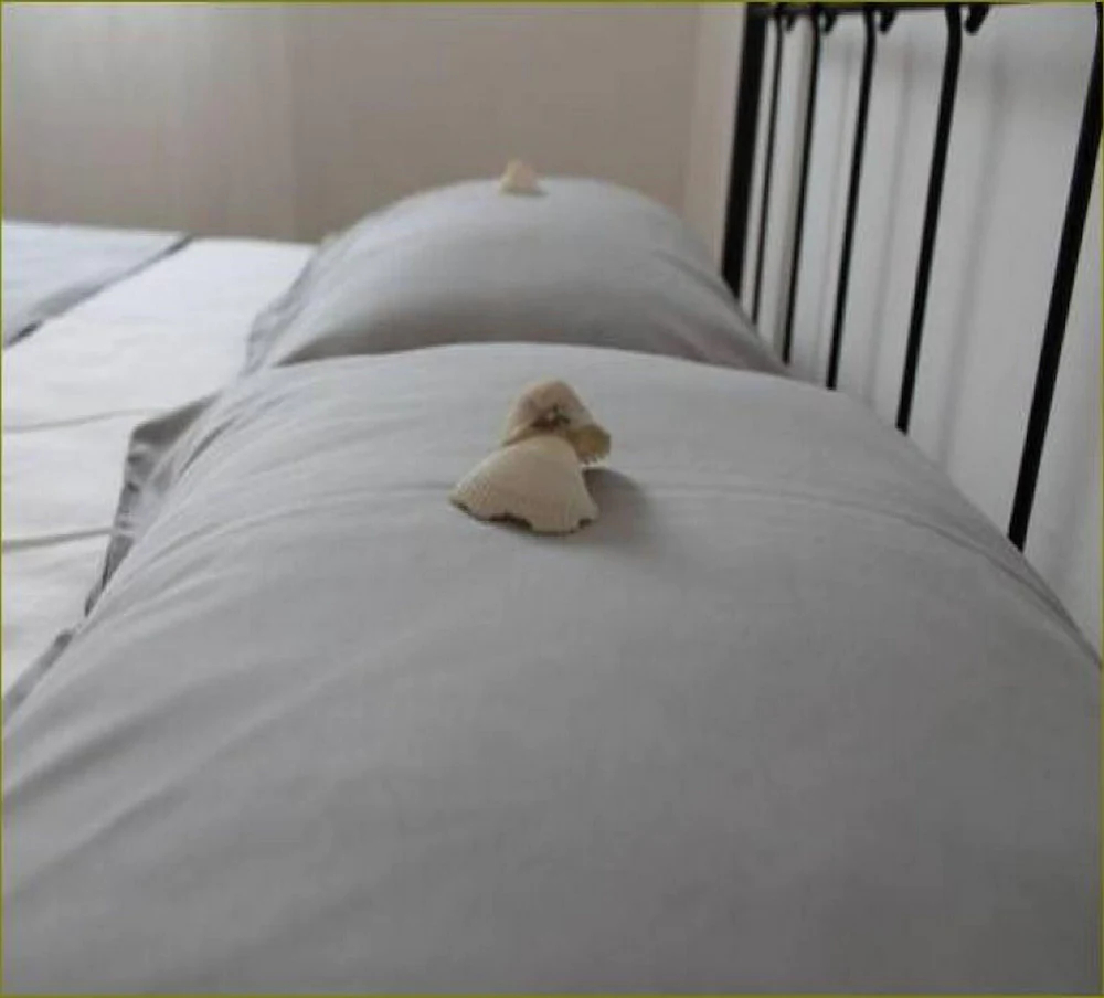 Apartments Mira