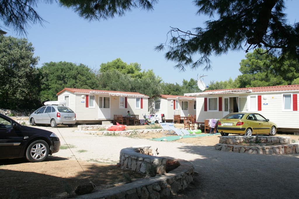 Kamp Miran
