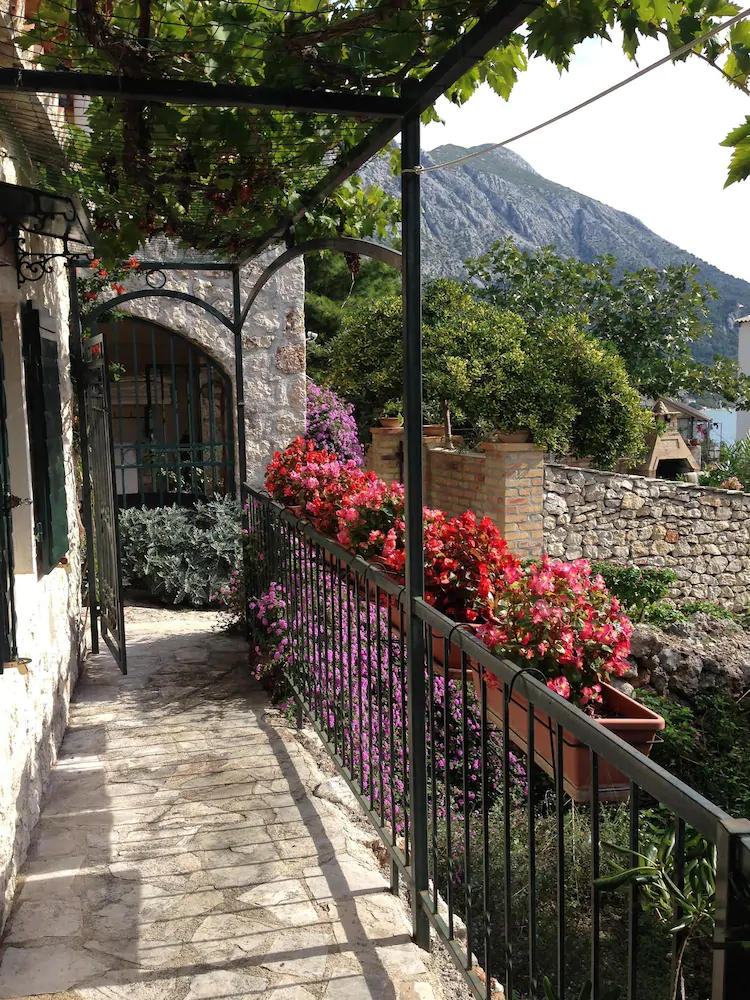 House Dobrila